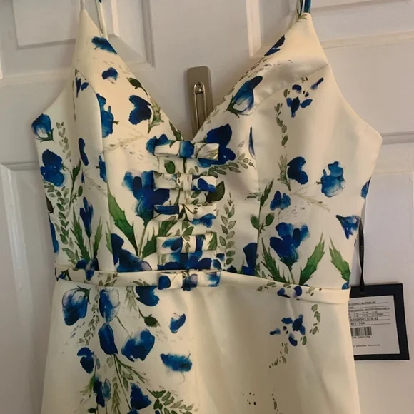 Pronovias Gown - Picture 8 of 8